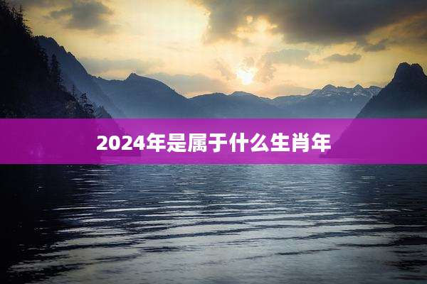 2024年是属于什么生肖年