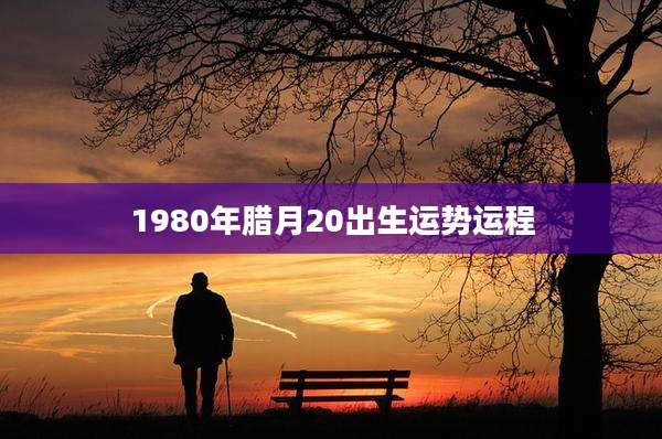1980年腊月20出生运势运程