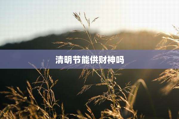 清明节能供财神吗