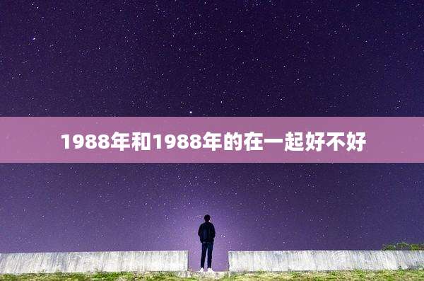1988年和1988年的在一起好不好