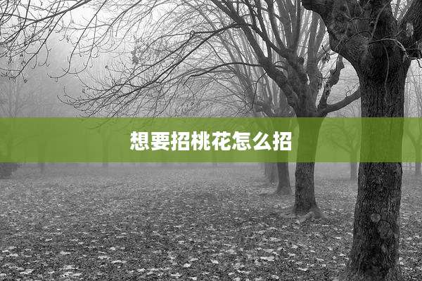 想要招桃花怎么招