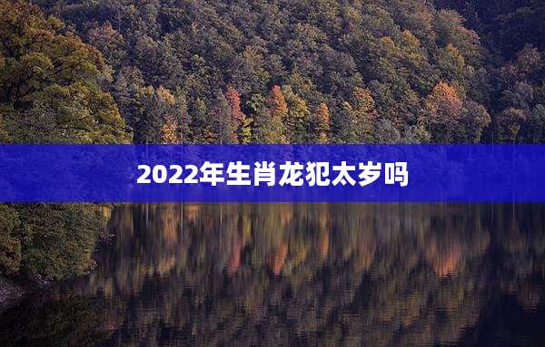 2022年生肖龙犯太岁吗
