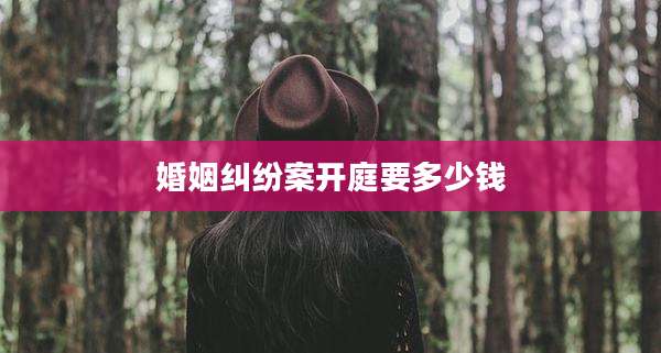 婚姻纠纷案开庭要多少钱