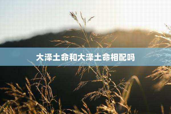 大泽土命和大泽土命相配吗