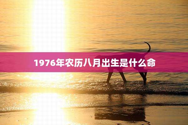 1976年农历八月出生是什么命