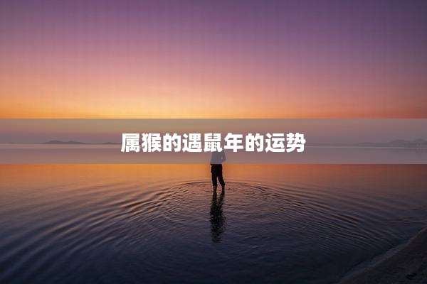 属猴的遇鼠年的运势