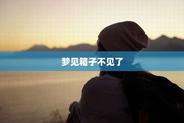 梦见箱子不见了