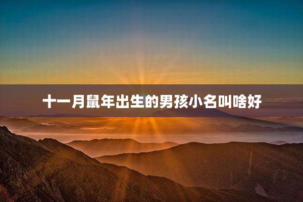 十一月鼠年出生的男孩小名叫啥好