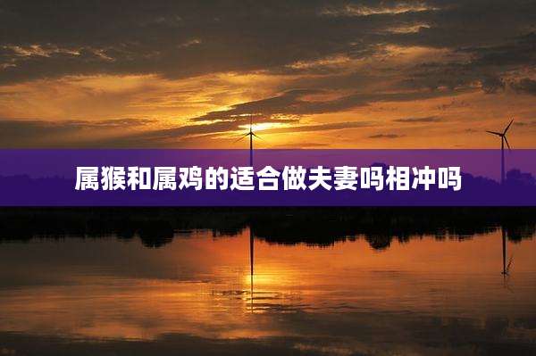 属猴和属鸡的适合做夫妻吗相冲吗