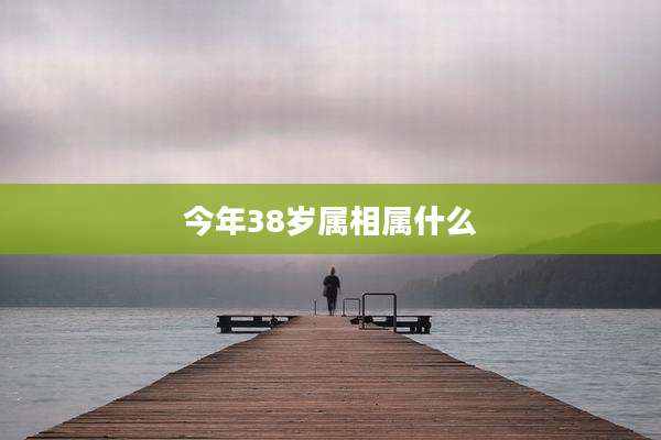 今年38岁属相属什么