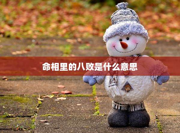 命相里的八败是什么意思