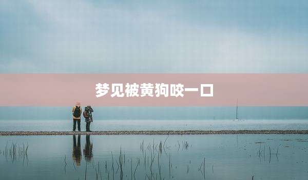 梦见被黄狗咬一口