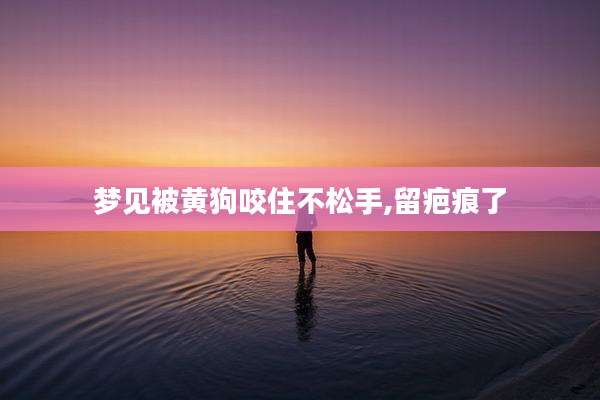 梦见被黄狗咬住不松手,留疤痕了