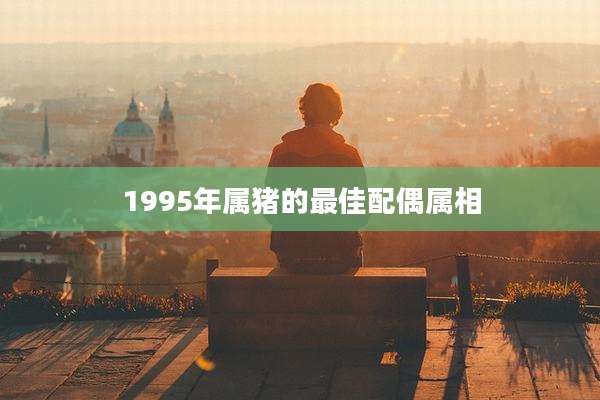 1995年属猪的最佳配偶属相