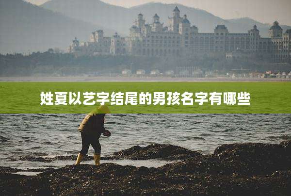 姓夏以艺字结尾的男孩名字有哪些