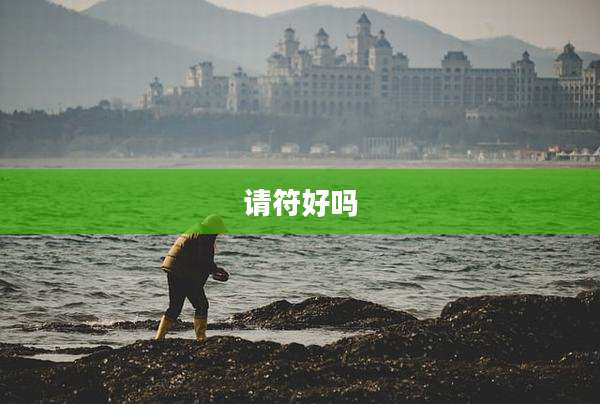 请符好吗