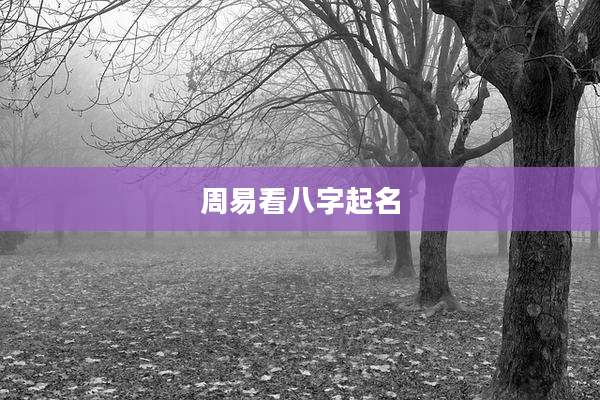 周易看八字起名