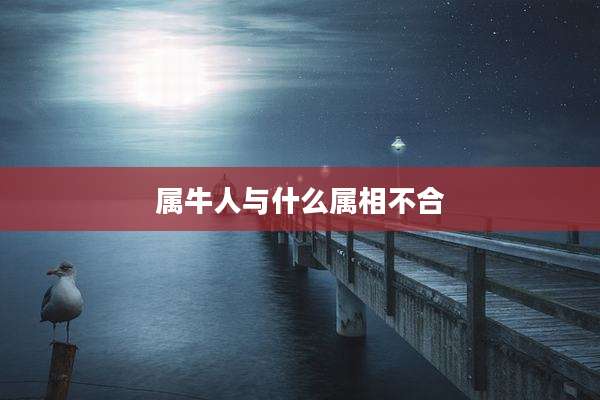 属牛人与什么属相不合