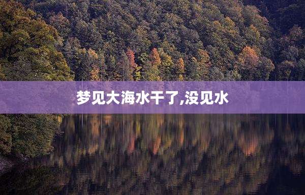 梦见大海水干了,没见水