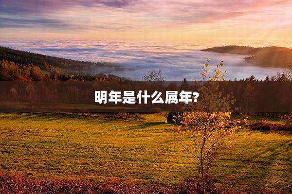 明年是什么属年?