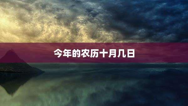 今年的农历十月几日