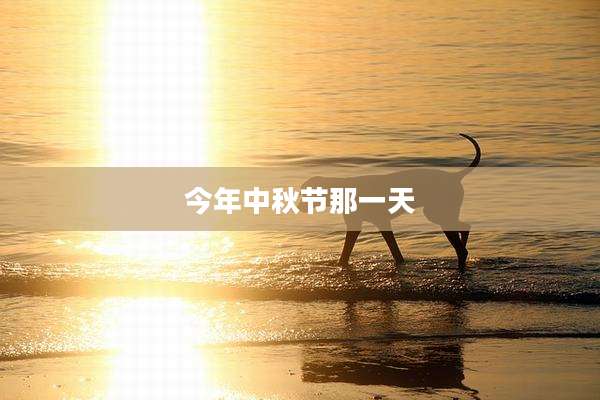 今年中秋节那一天