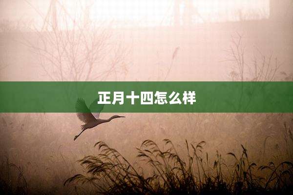 正月十四怎么样