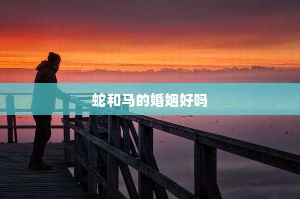 蛇和马的婚姻好吗