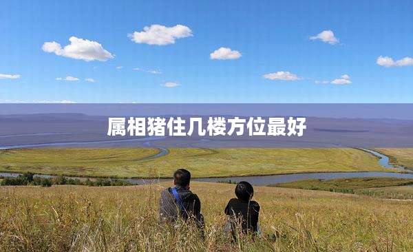 属相猪住几楼方位最好