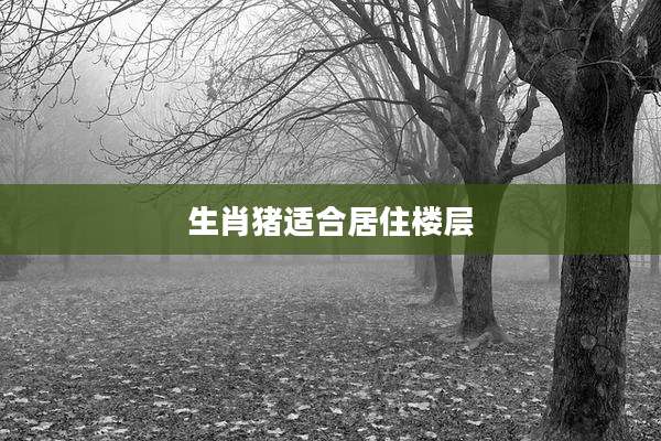 生肖猪适合居住楼层