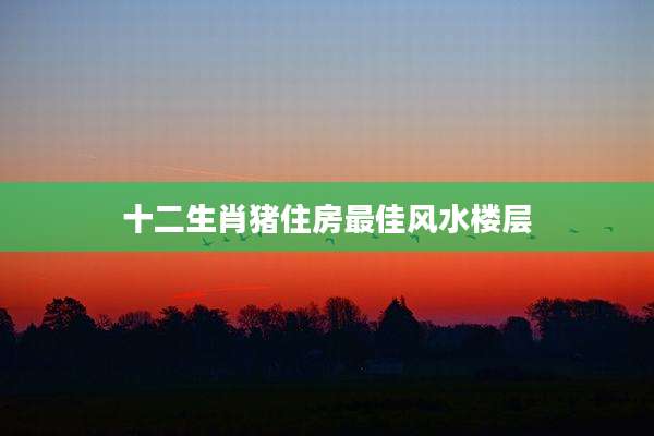 十二生肖猪住房最佳风水楼层