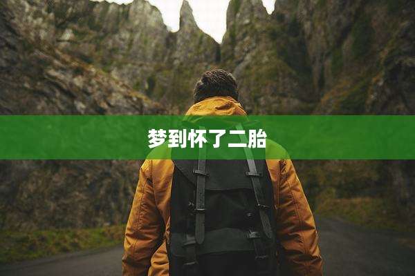 梦到怀了二胎