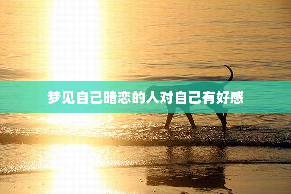 梦见自己暗恋的人对自己有好感