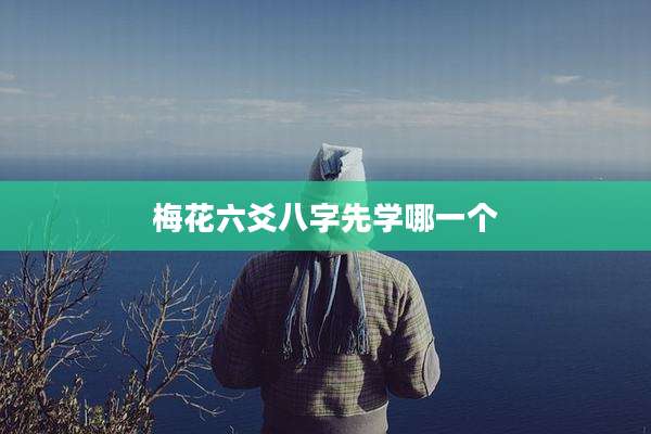梅花六爻八字先学哪一个