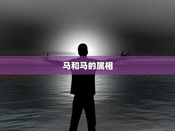 马和马的属相