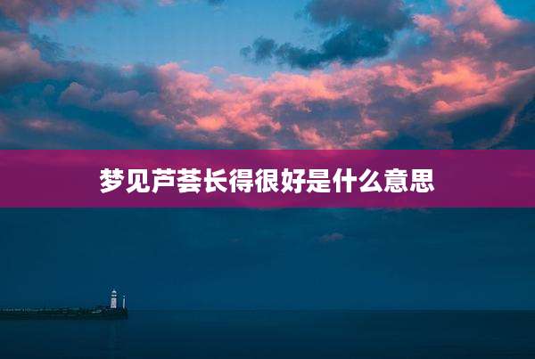 梦见芦荟长得很好是什么意思