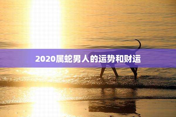 2020属蛇男人的运势和财运