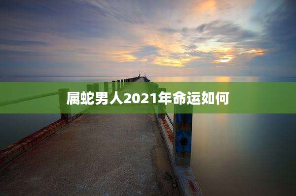 属蛇男人2021年命运如何