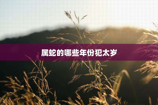 属蛇的哪些年份犯太岁
