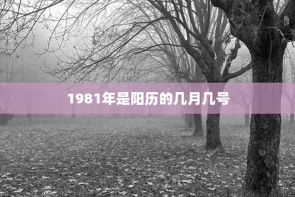 1981年是阳历的几月几号