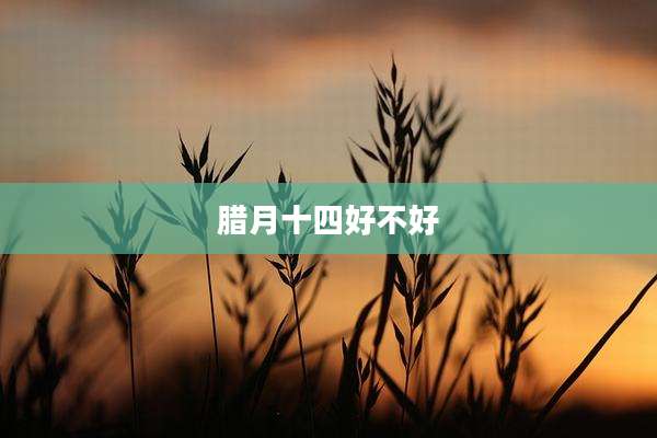 腊月十四好不好