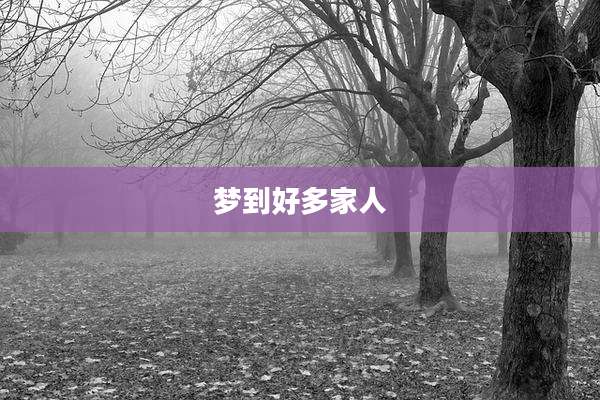 梦到好多家人