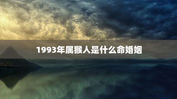 1993年属猴人是什么命婚姻