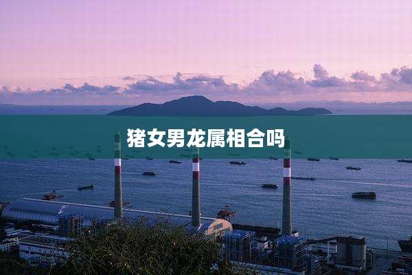 猪女男龙属相合吗