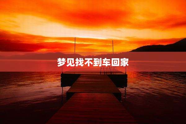 梦见找不到车回家