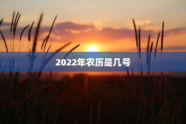 2022年农历是几号