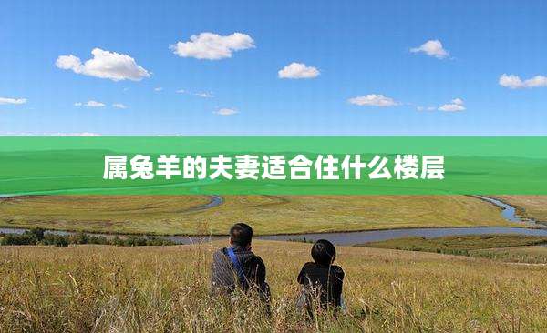属兔羊的夫妻适合住什么楼层
