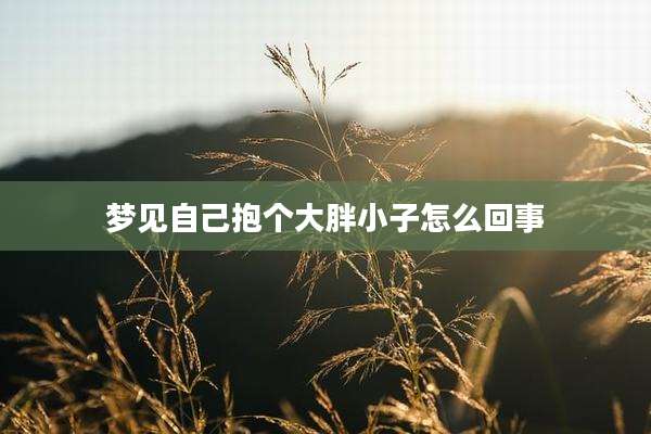 梦见自己抱个大胖小子怎么回事
