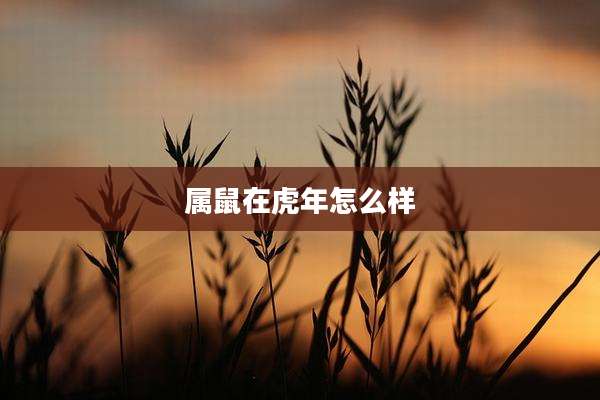属鼠在虎年怎么样