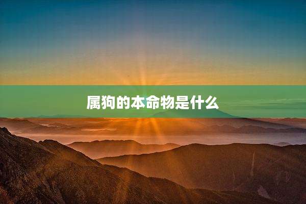 属狗的本命物是什么